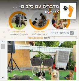 עידכונים מהפעילויות בפייסבוק