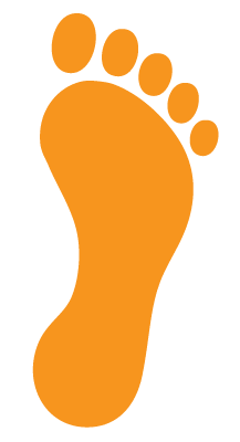 טיפול באמצעות כלבים