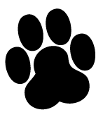 טיפול בעזרת כלבים