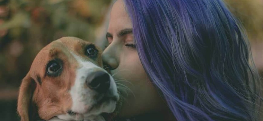 המעבר ממטופל למטפל – היישום המעשי של אילוף כלבים טיפוליים